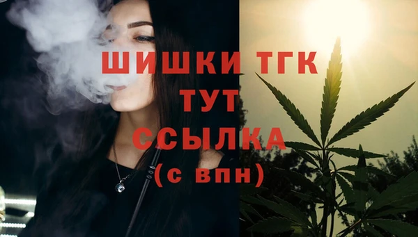 сатива Абинск