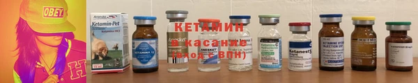 сатива Абинск
