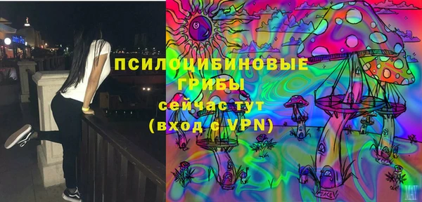 сатива Абинск