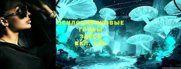 Альфа ПВП Абаза